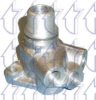 TRICLO 463203 Coolant Flange